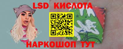 гашик Донецк