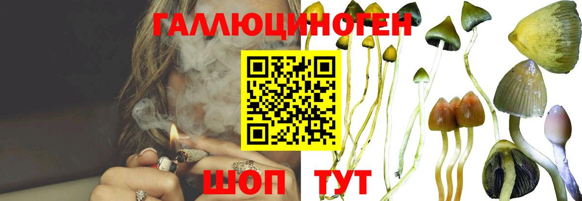 Псилоцибиновые грибы ЛСД  купить закладку  Гурьевск  Вход с VPN 